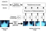 COVID-Transformer: Interpretable COVID-19 Detection using Vision Transformer for Healthcare