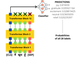 EmoHinD: Fine-grained multilabel emotion recognition from Hindi texts with Deep learning